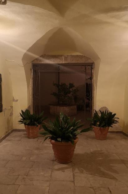 Les maisons cocó Trani Exterior foto